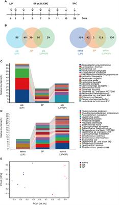 A Mouse Periodontitis Model With Humanized Oral Bacterial Community